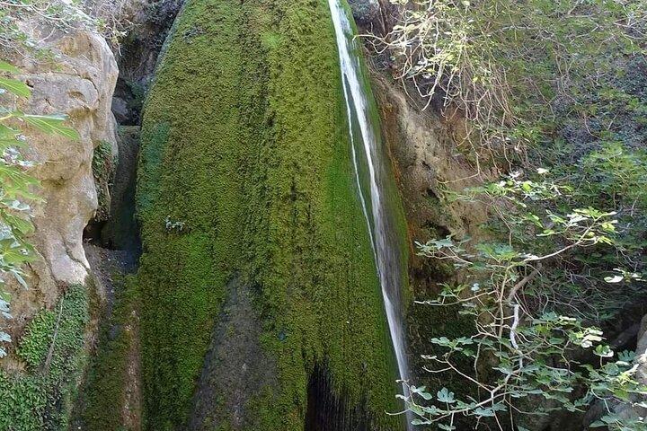 Explore the Hidden Beauty of Richtis Gorge on a Private Tour - photo 4