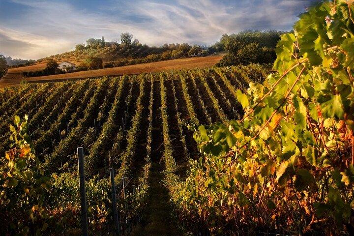 Florence, Siena & San Gimignano with Chianti Wine Tasting - photo 2