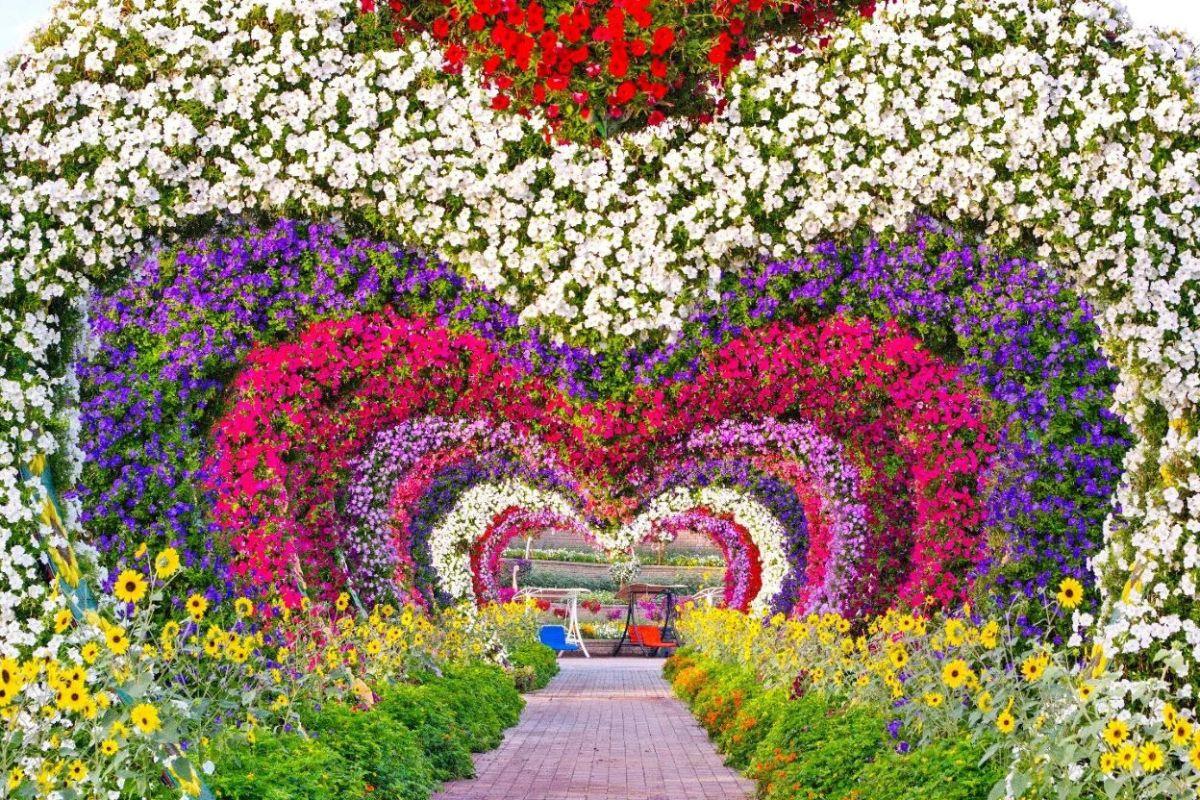 Dubai Miracle Garden Tickets - cover photo