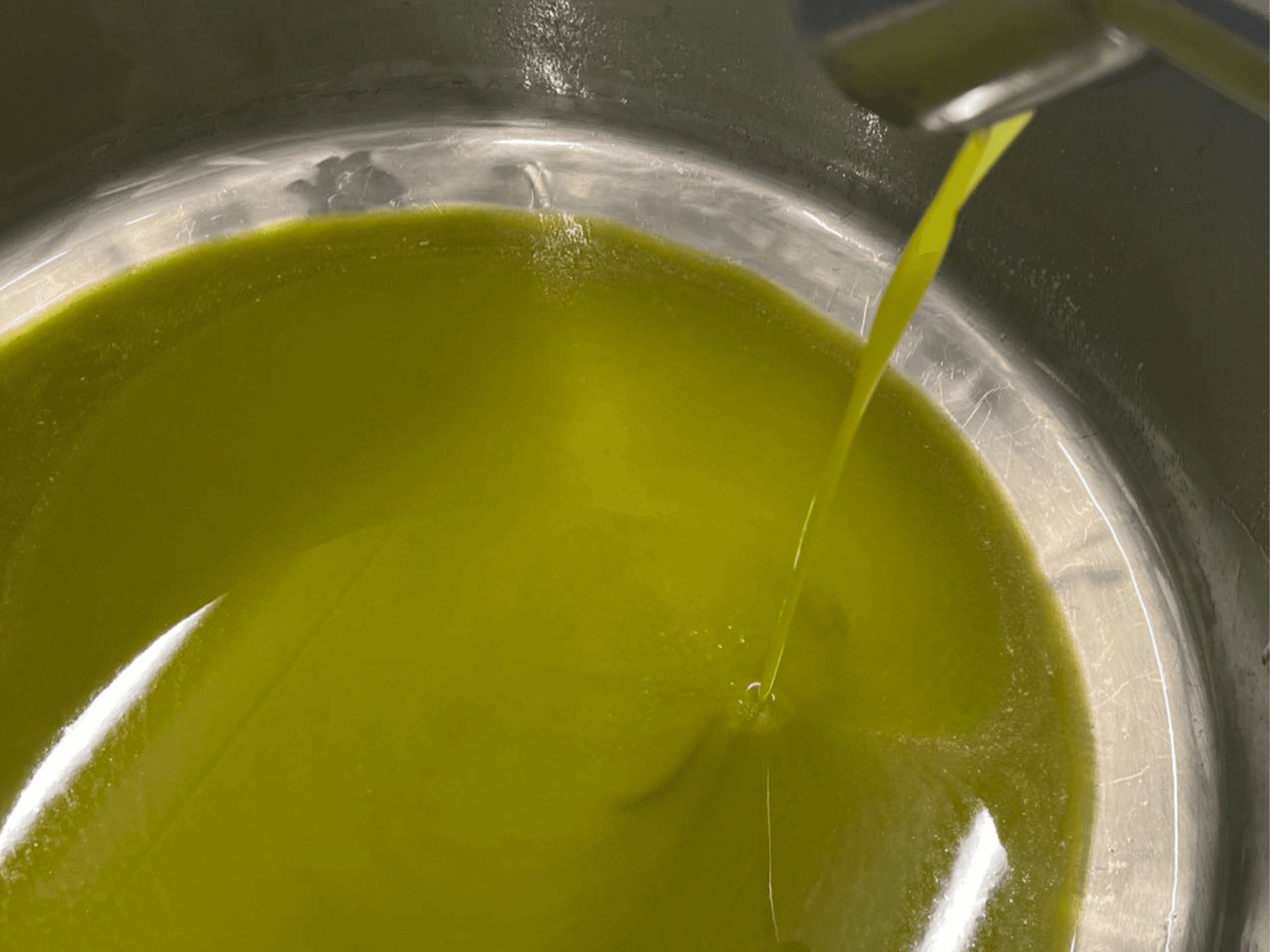 Olive Mill Tour and Tasting in the Padua Hills - cover photo