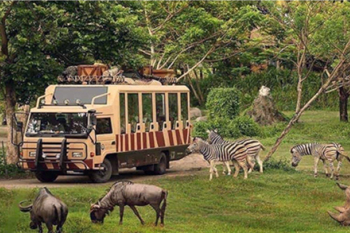 Dubai  Safari Park Tour with Private  Roundtrip  Transfers - photo 5