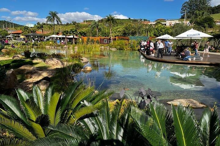 Art Of Wine – Travel Through The So-Called Wine Route Visiting Various Wineries  - photo 3