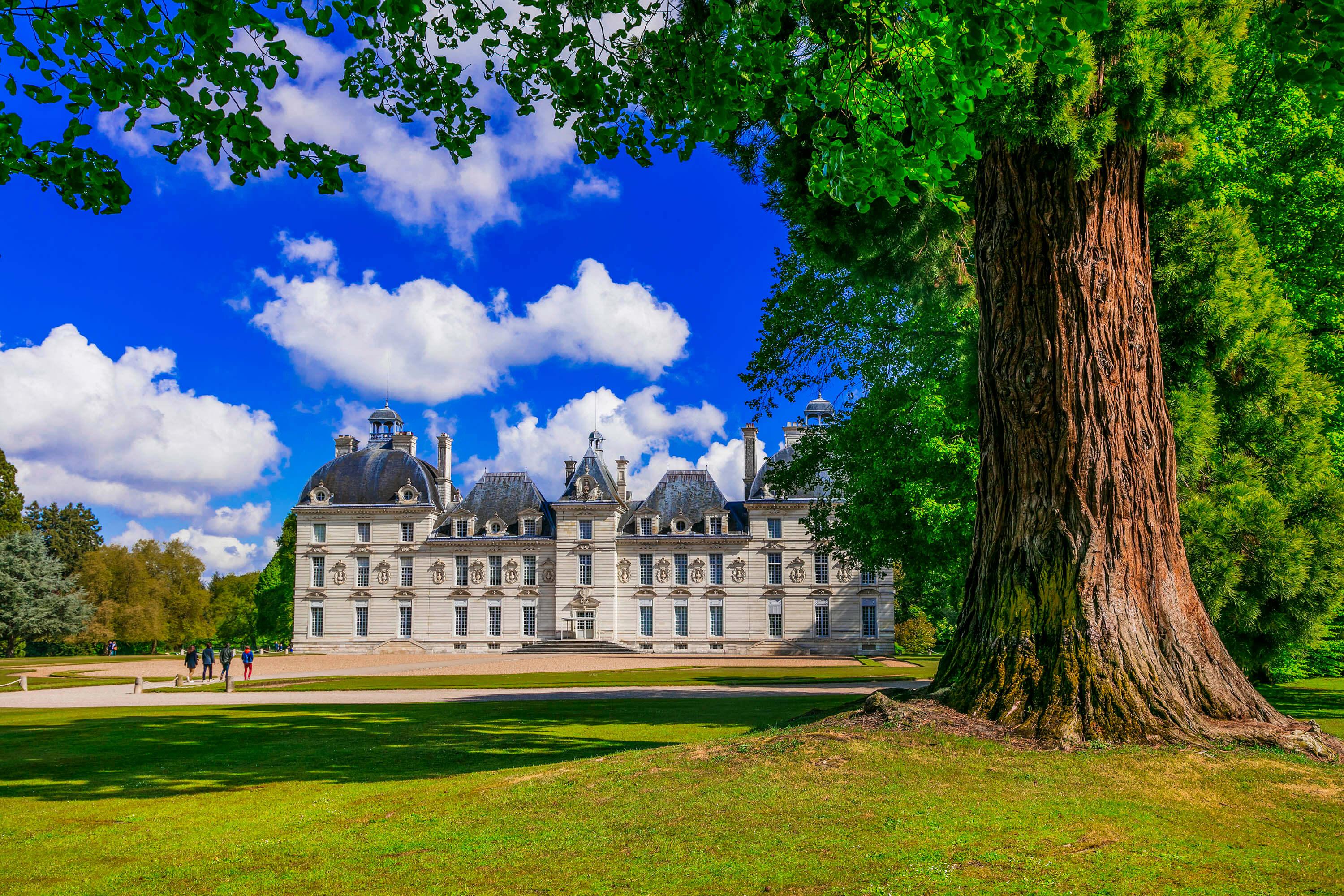Loire Valley Castles: Self-Guided Tour with Audio Guide - photo 5