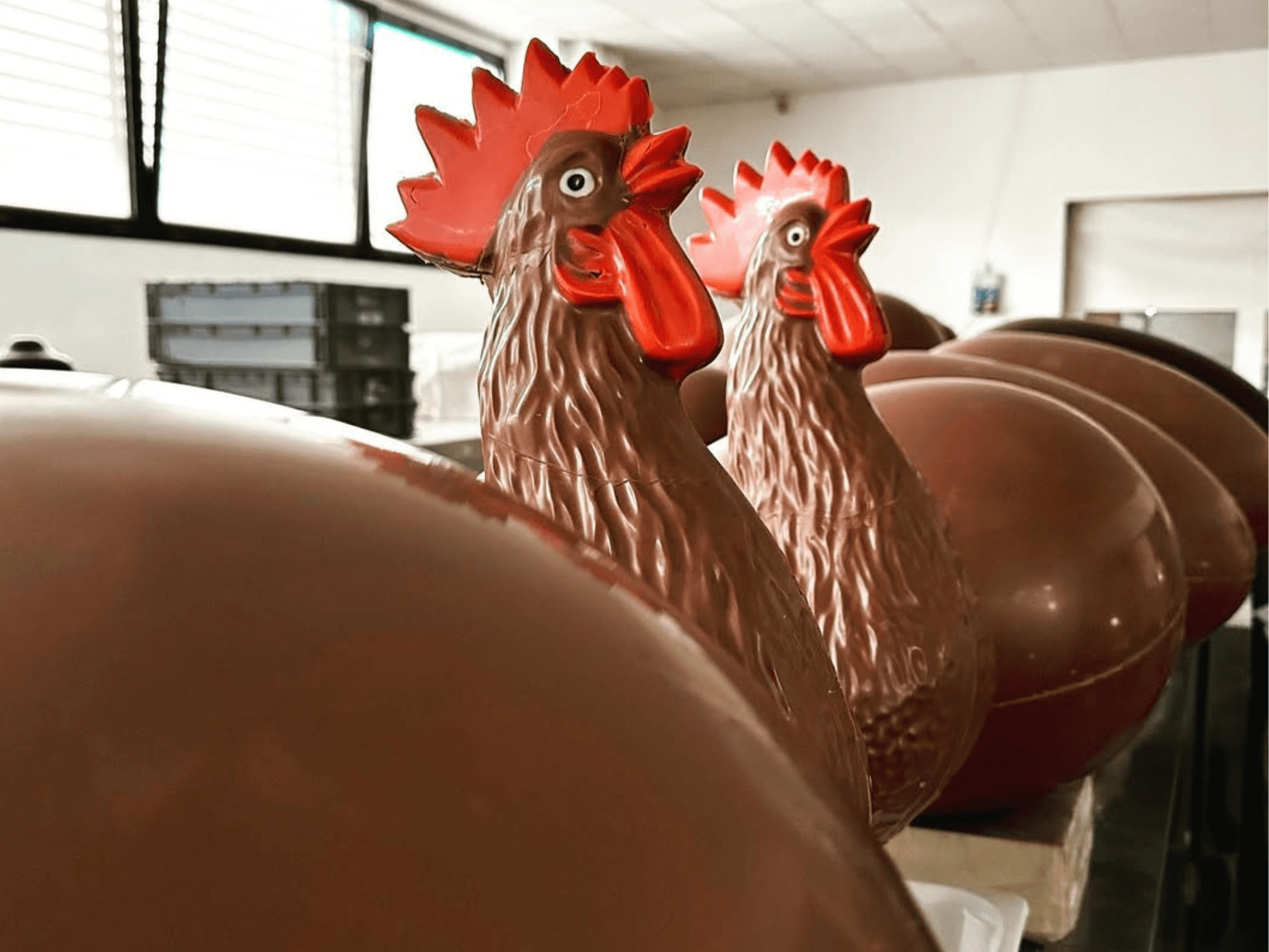 Chocolate Factory Tour & Tasting near Alessandria - photo 3