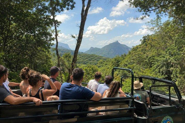 Half-Day Jeep Tour in Rio's Tijuca Rainforest and Scenic - cover photo