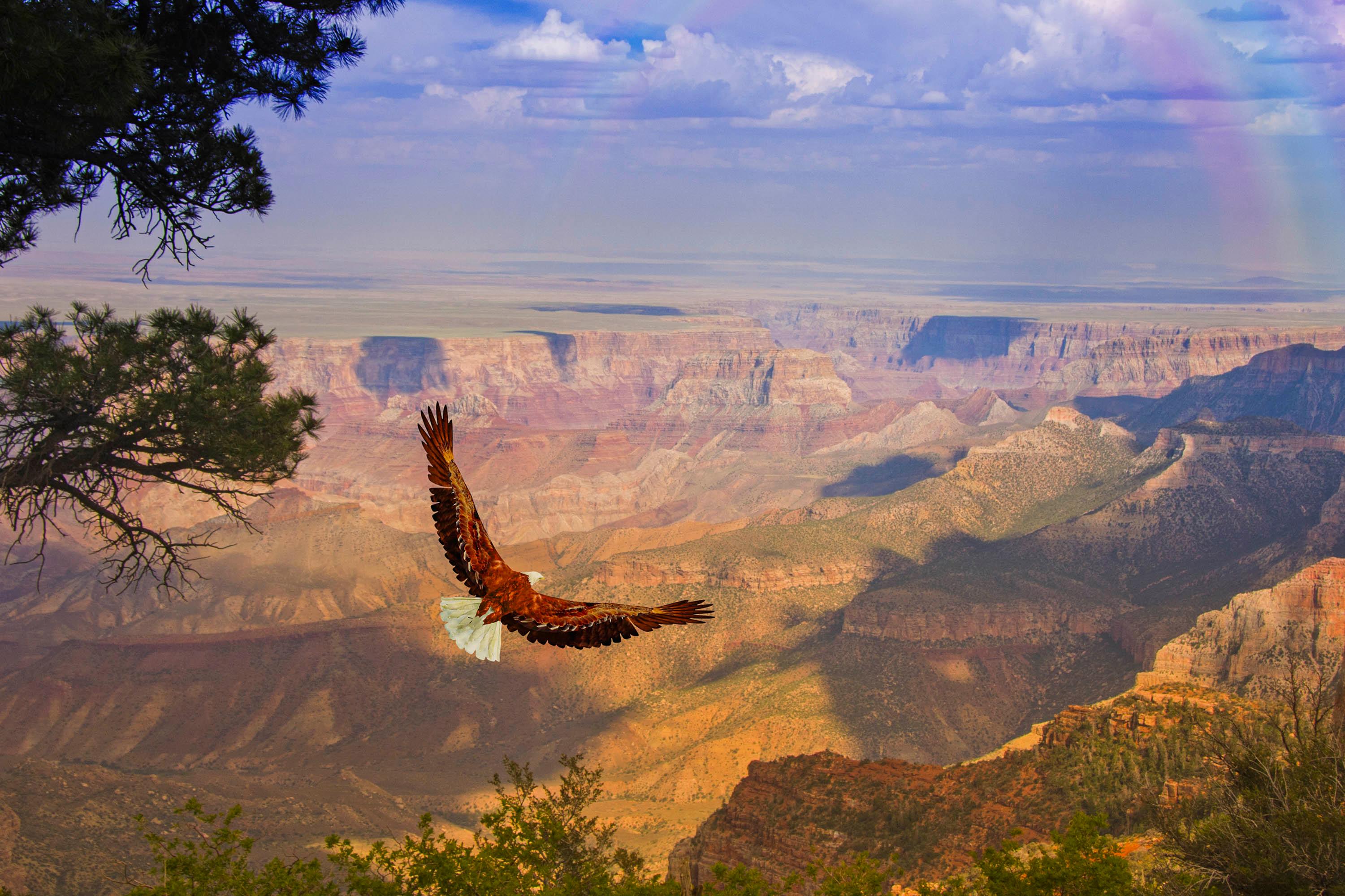 Grand Canyon Tour with audio guide - photo 5