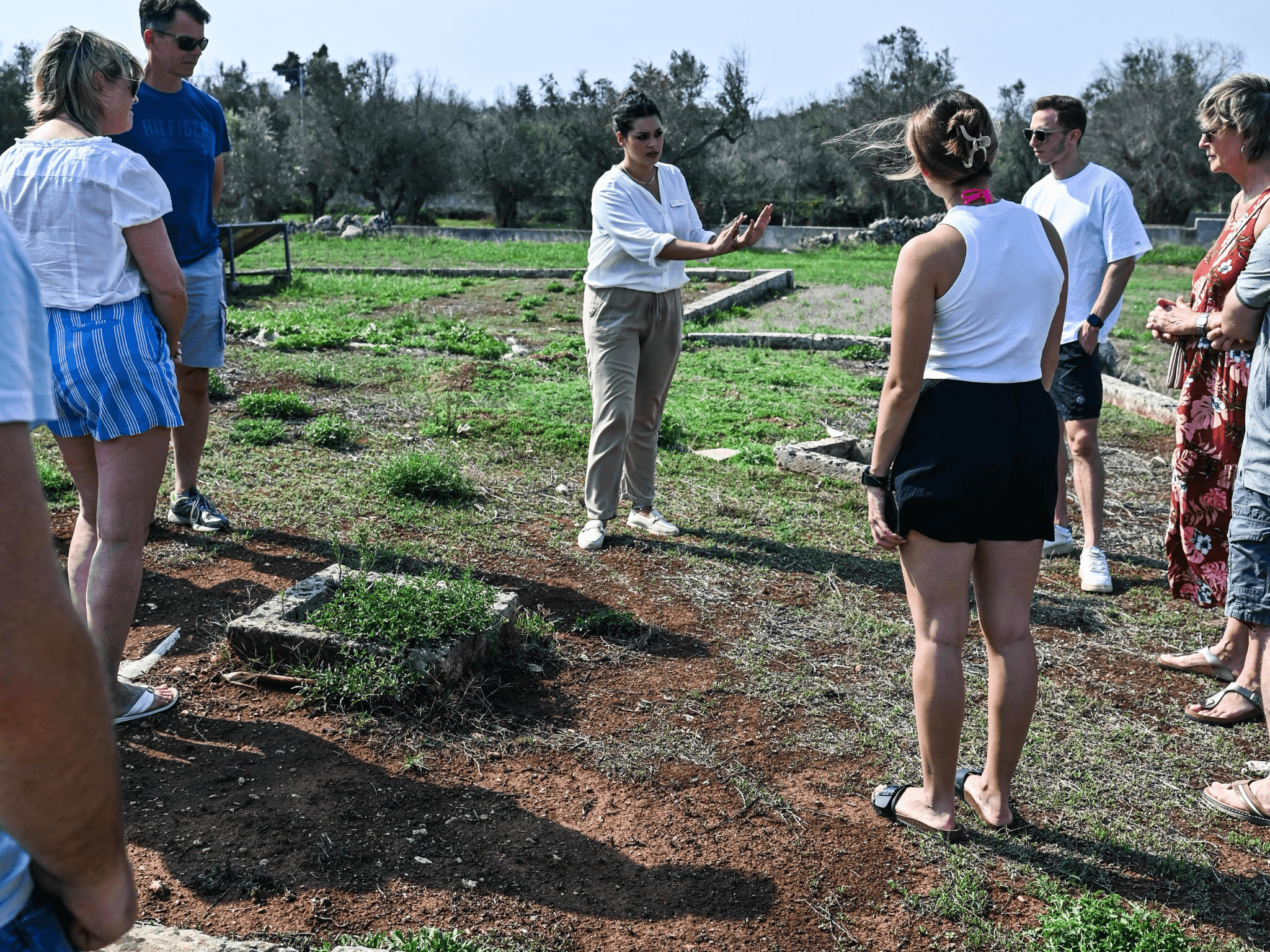 Underground Olive Mill Tour & Tasting near Otranto - photo 5