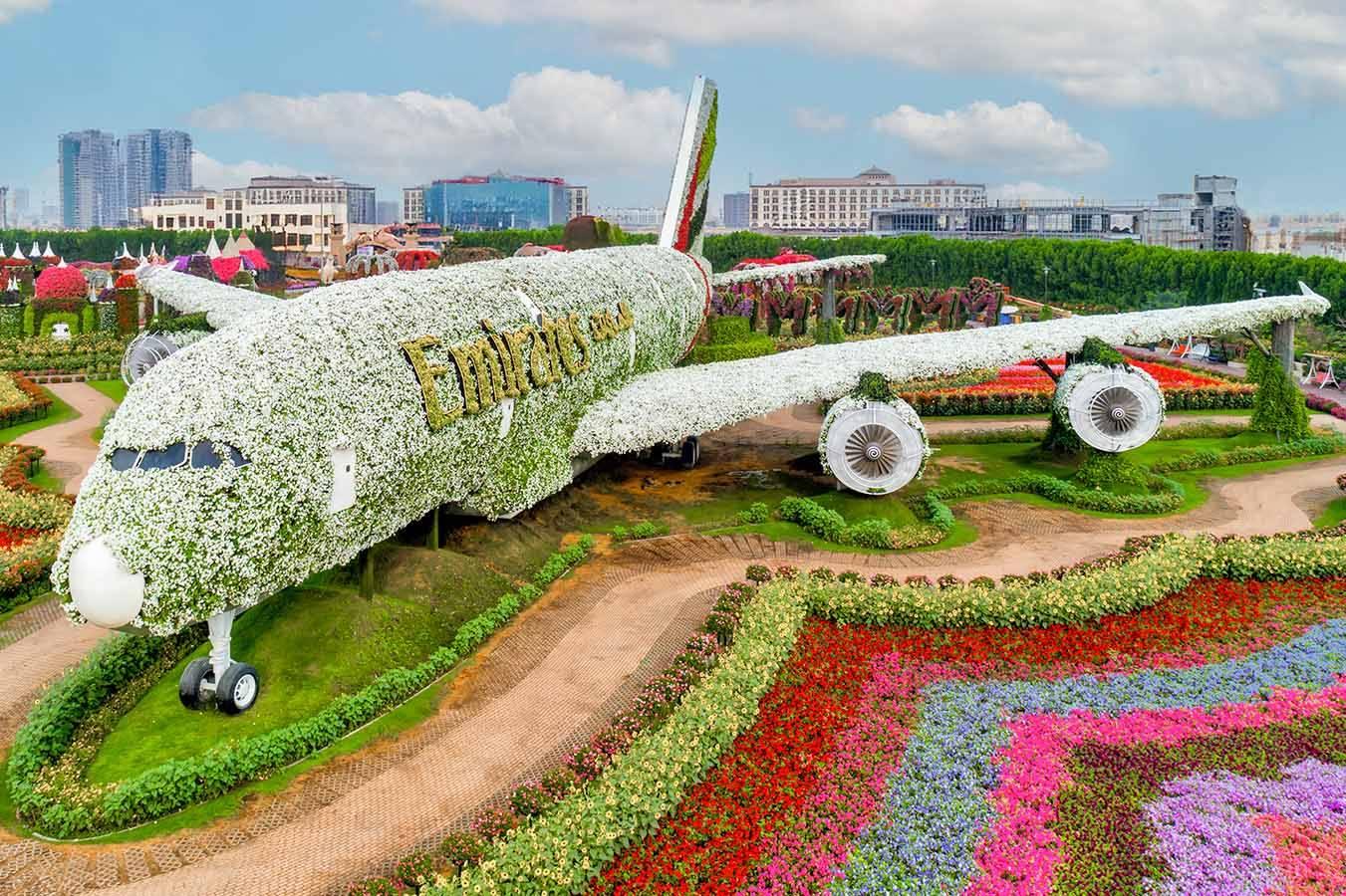 Dubai  Miracle Garden tour & Marina Dhow Cruise with Dinner with  Private  Roundtrip   Transfer - cover photo