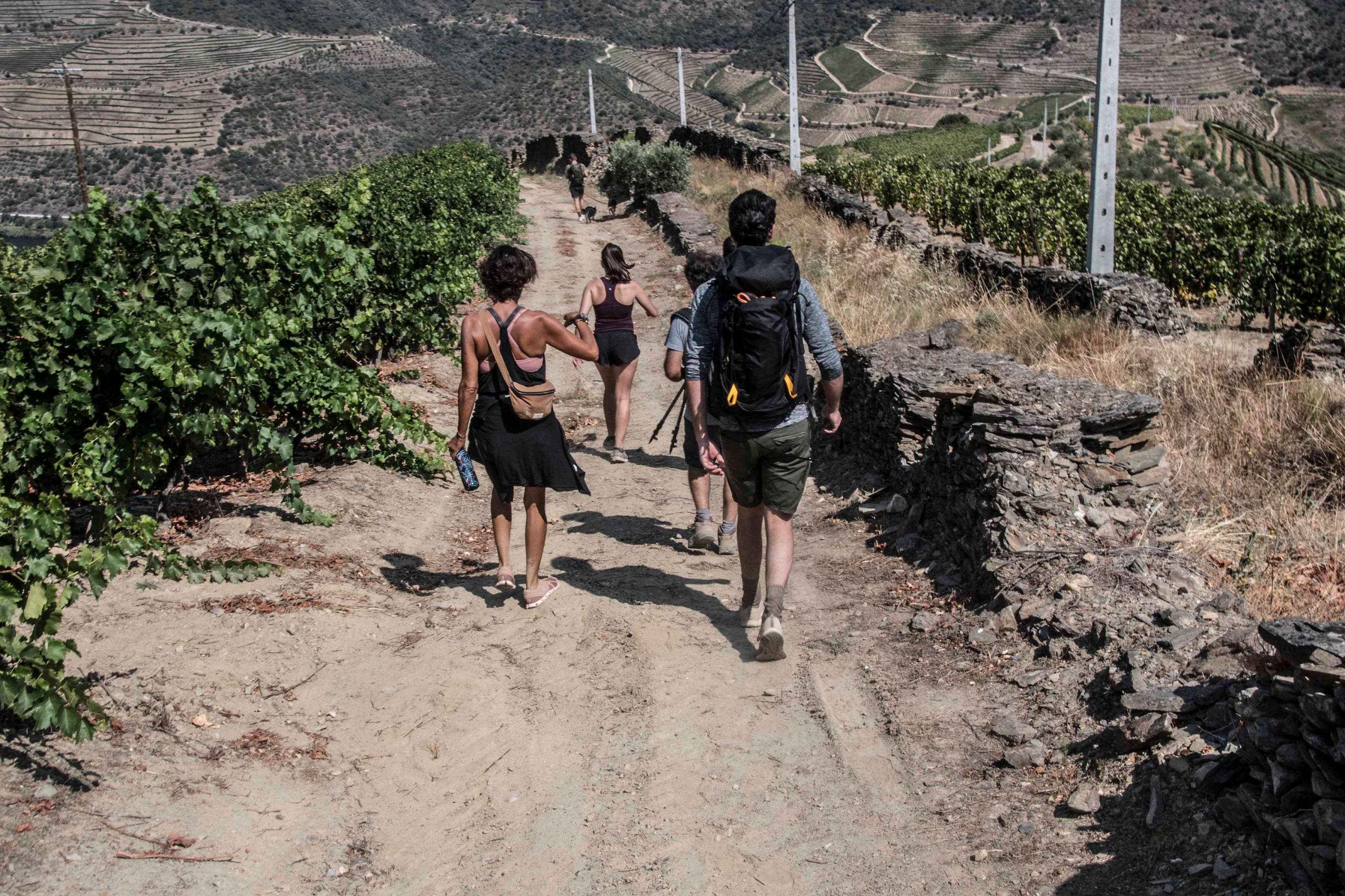 Walk & Lunch at our village - cover photo