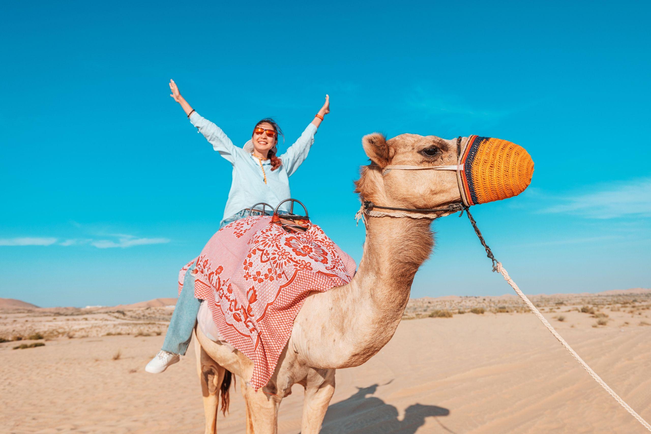 60 Min Desert Safari Sharm El Sheikh Camel Riding & Transfer - cover photo