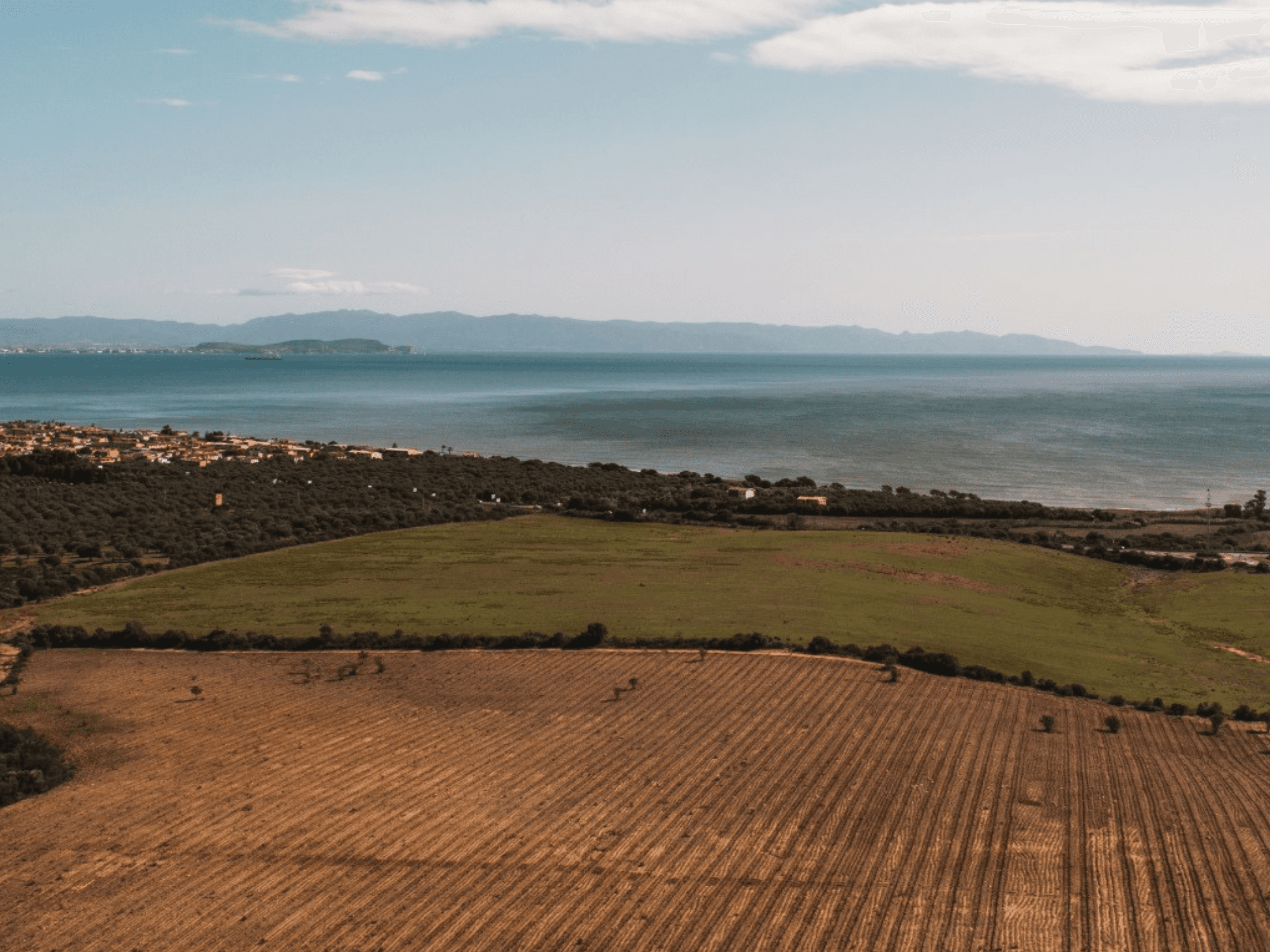 Wine Tasting & Winery Visit on Cagliari Countryside Hills - photo 2