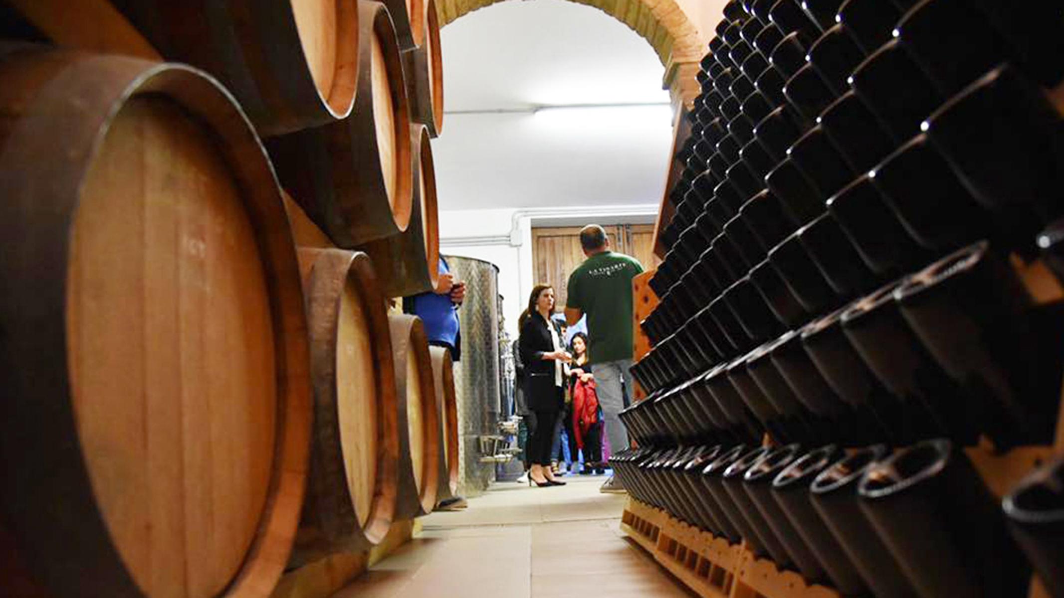 La Vinarte Winery and small Tasting - photo 5