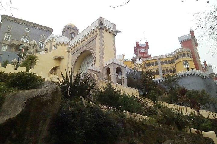 activity image