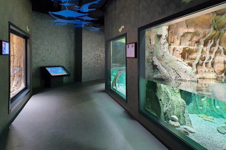 Private Kids Entertainment Day Tour in Baku - photo 2