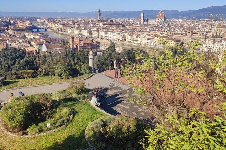 Golf Cart Tour of Florence's Scenic Hills and Michelangelo - cover photo
