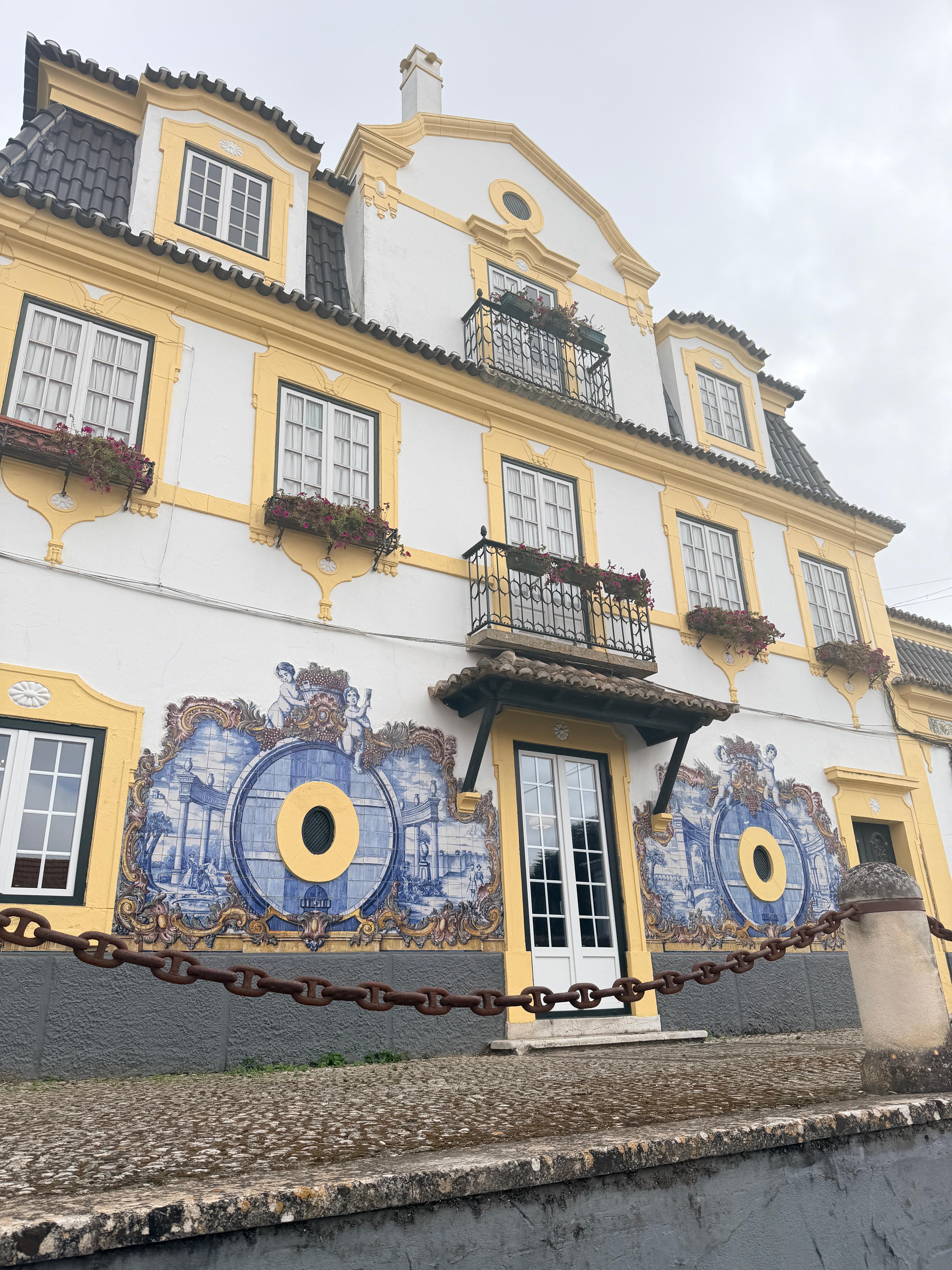 Setúbal: Luxury Wellness, Nature Walk & Wine Tour - photo 5