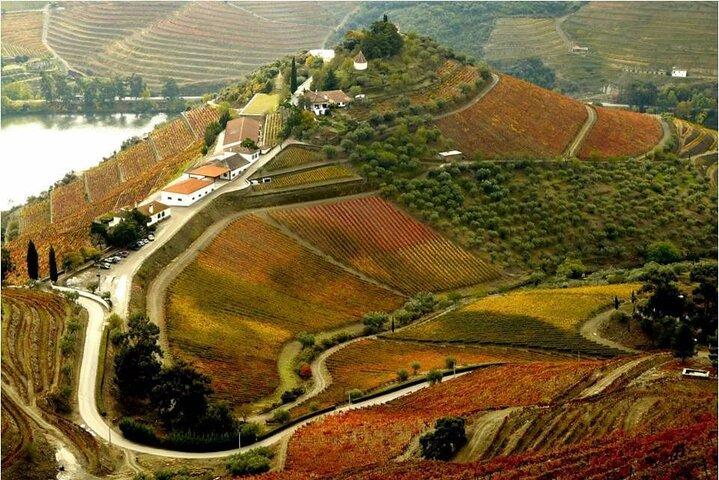 Douro, Unesco Heritage Site - photo 4
