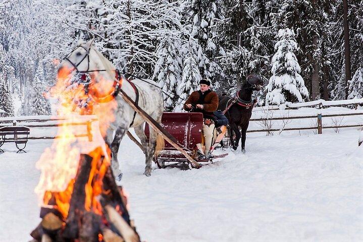 From Krakow; horse-drawn carriage with a bonfire sausage roasting - photo 5