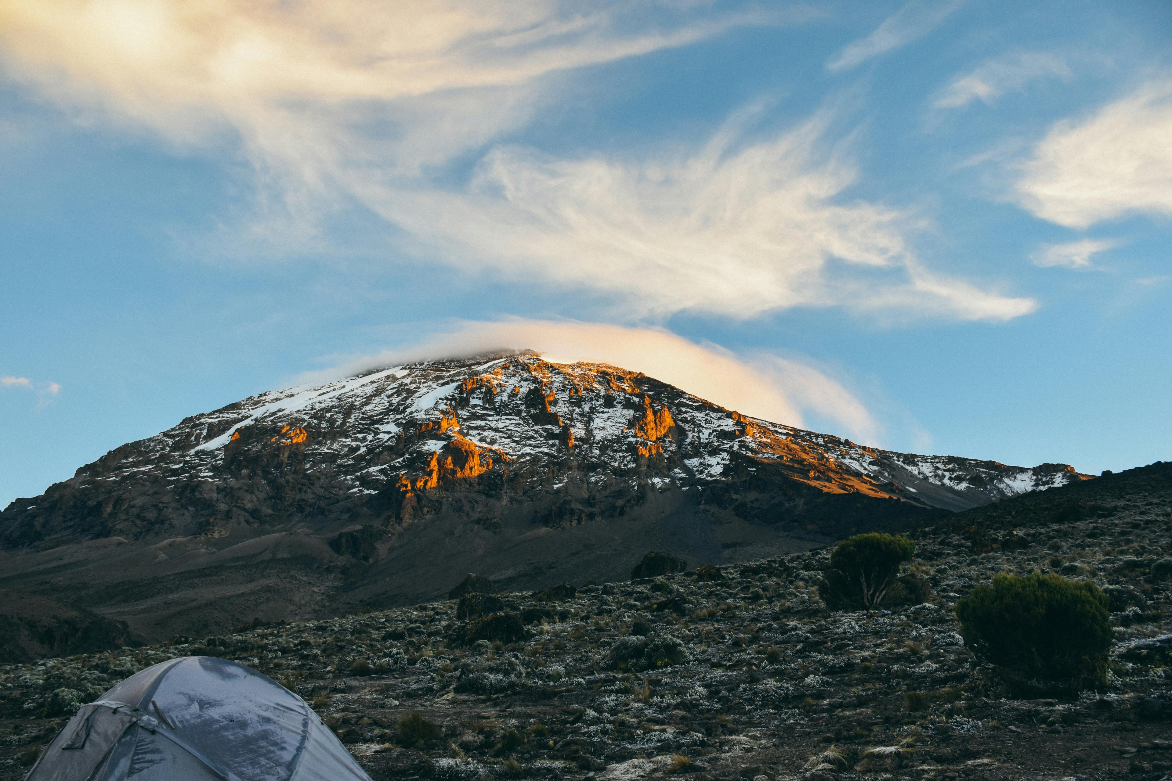 Kilimanjaro Rainforest Day Hike to Mandara Hut – Marangu Route, Tanzania - photo 4