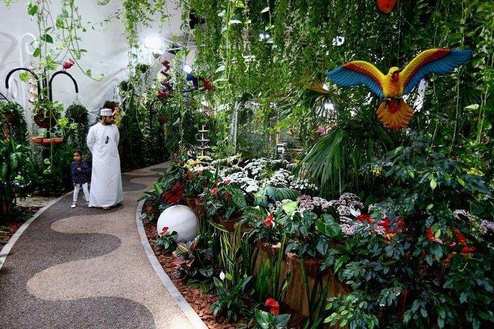 Dubai Butterfly Garden Tickets - photo 4