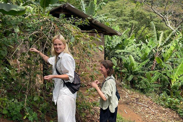 Kilimanjaro Coffee Tour | Farm-to-Cup Experience with Local Farmers - photo 5