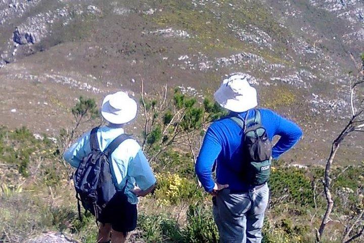 Hiking and Trekking on Table Mountain - photo 2