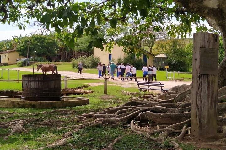 Coffee Farm Tour: Explore the Flavors of São Paulo’s Countryside - photo 3