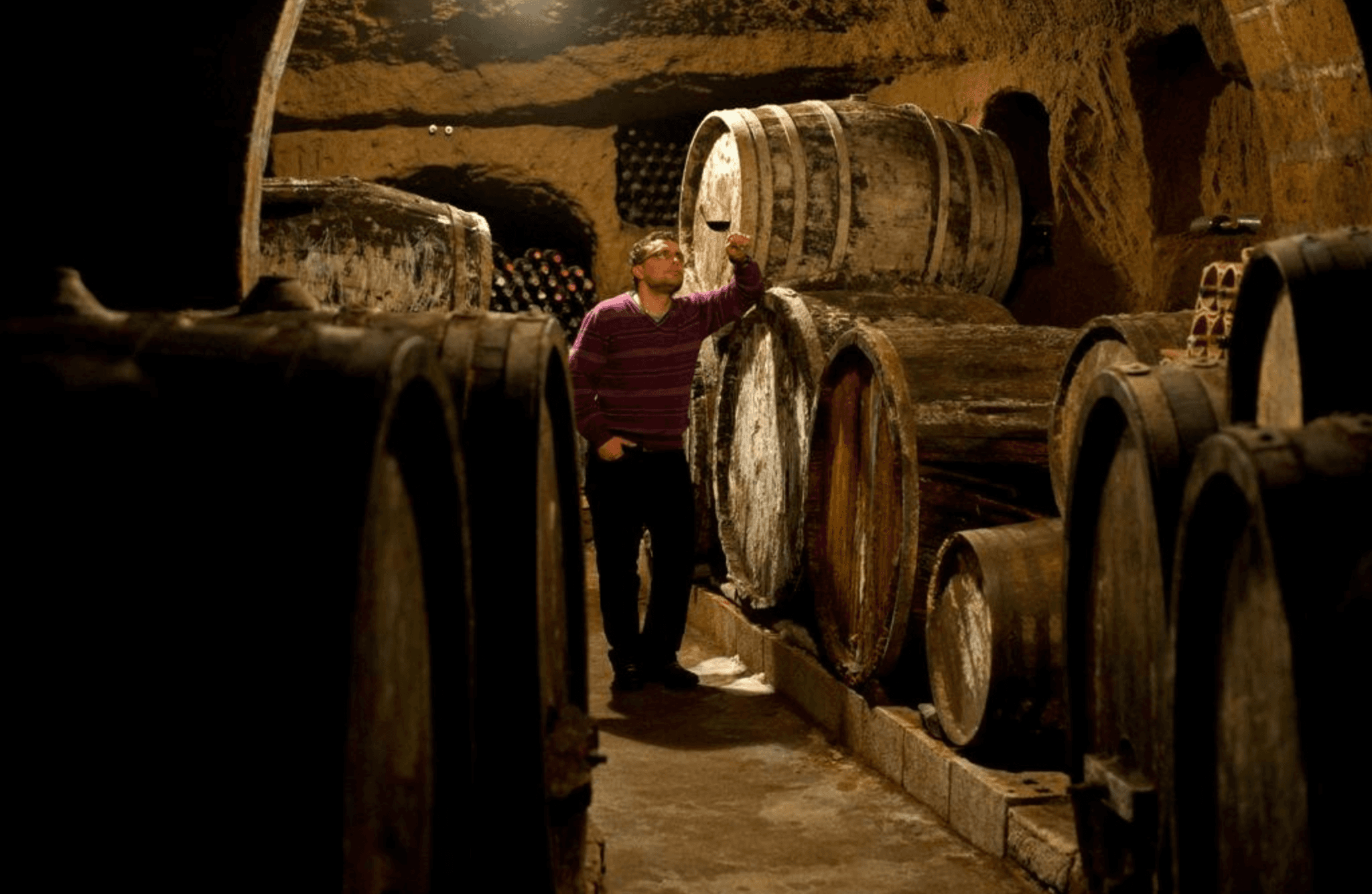 Wine Tasting with Food and Tufa Cellar Visit in Orvieto - cover photo