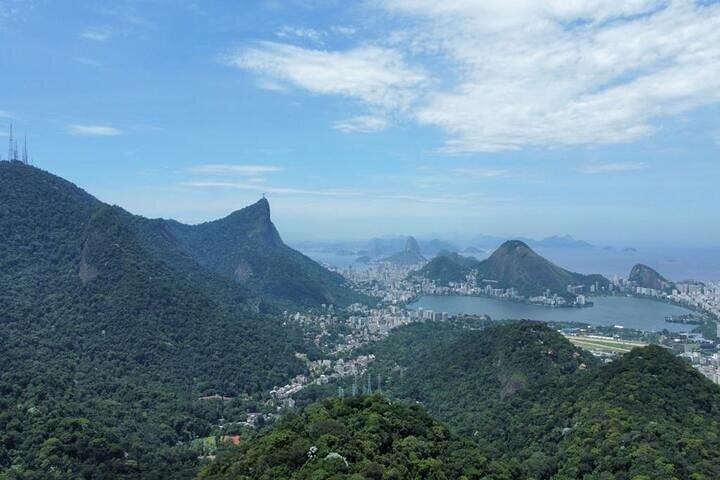 Half-Day Jeep Tour in Rio's Tijuca Rainforest and Scenic - photo 4
