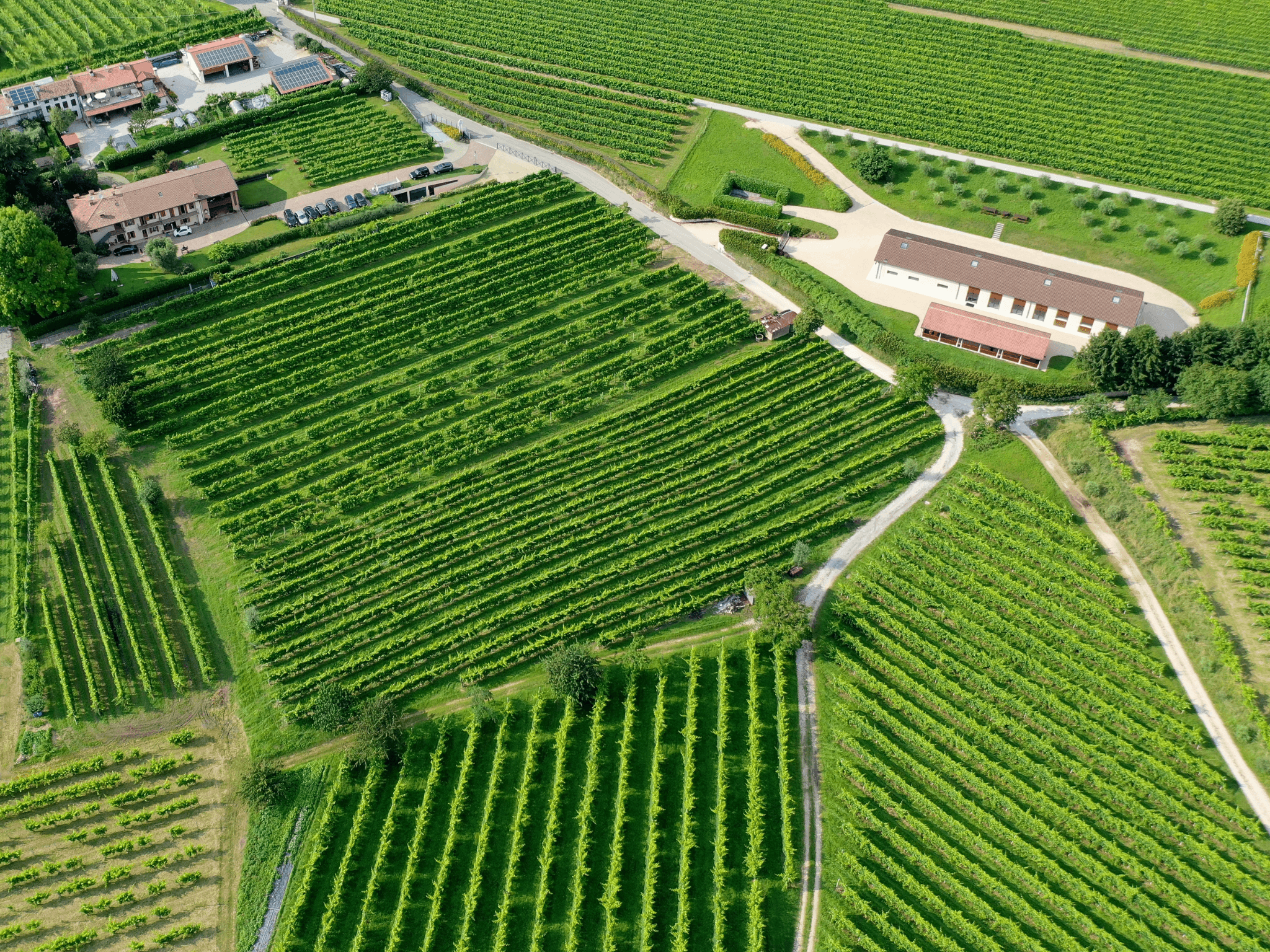 Prosecco Tasting in Countryside Winery - cover photo