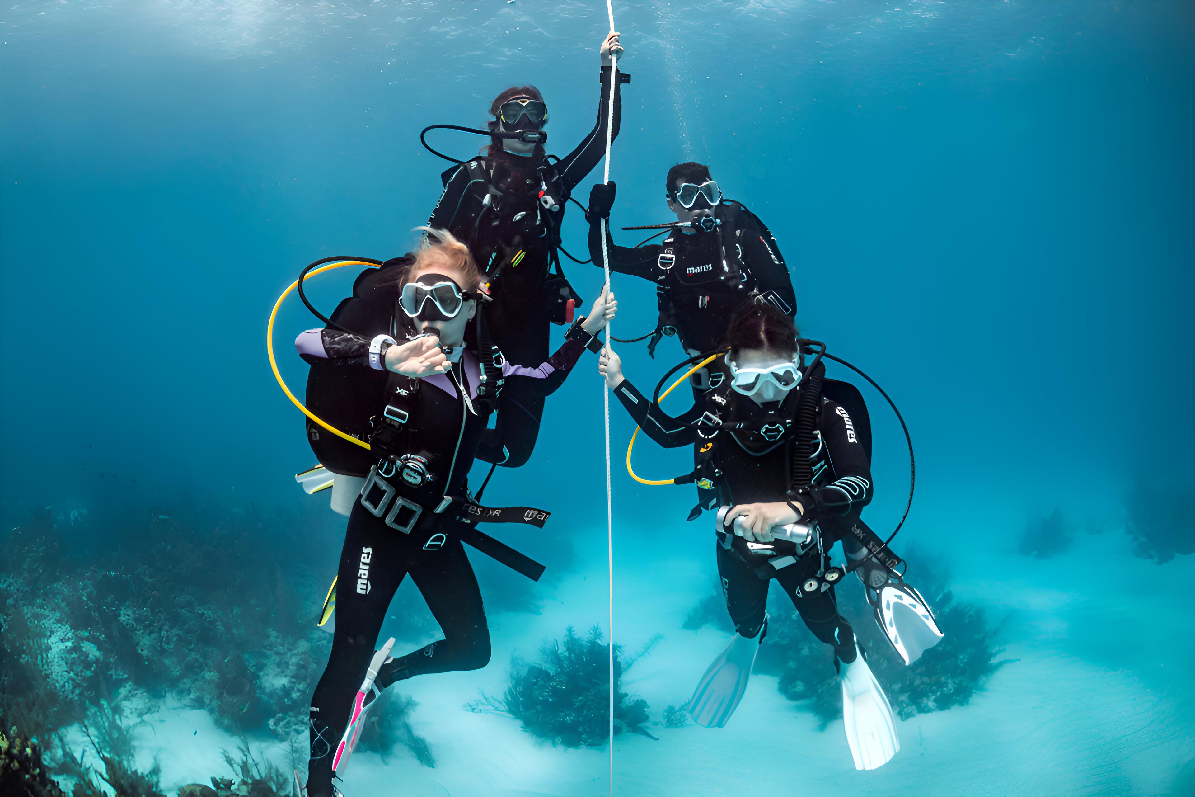 Basic Diver Session (Introductory Dive In The Open Sea) - photo 4