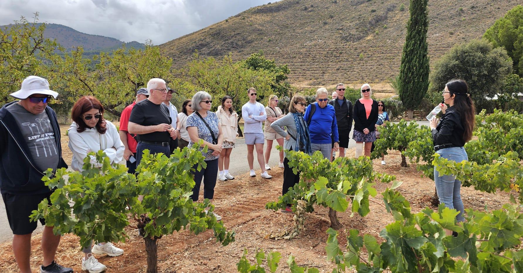 Visit to the Organic Winery in La Alpujarra with Wine Tasting and Local Aperitif - photo 4