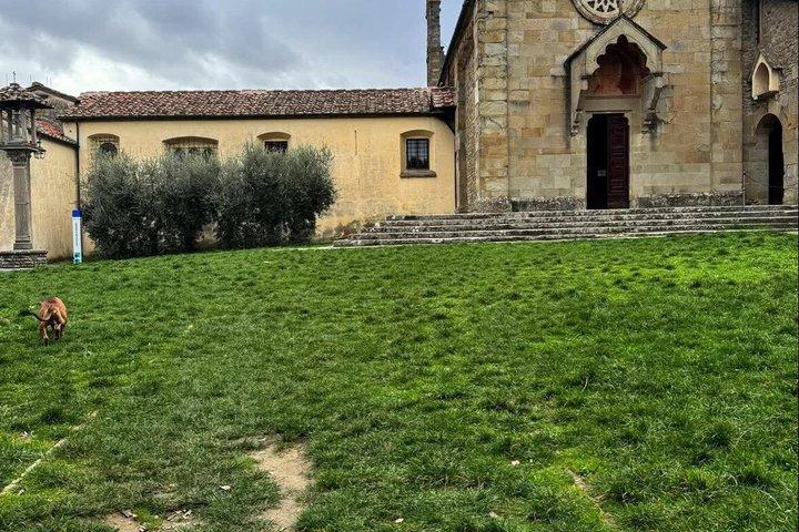 Wine Tasting on the Florentine Hills with Transfer Green - photo 5