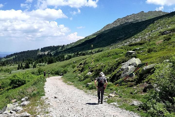 activity image