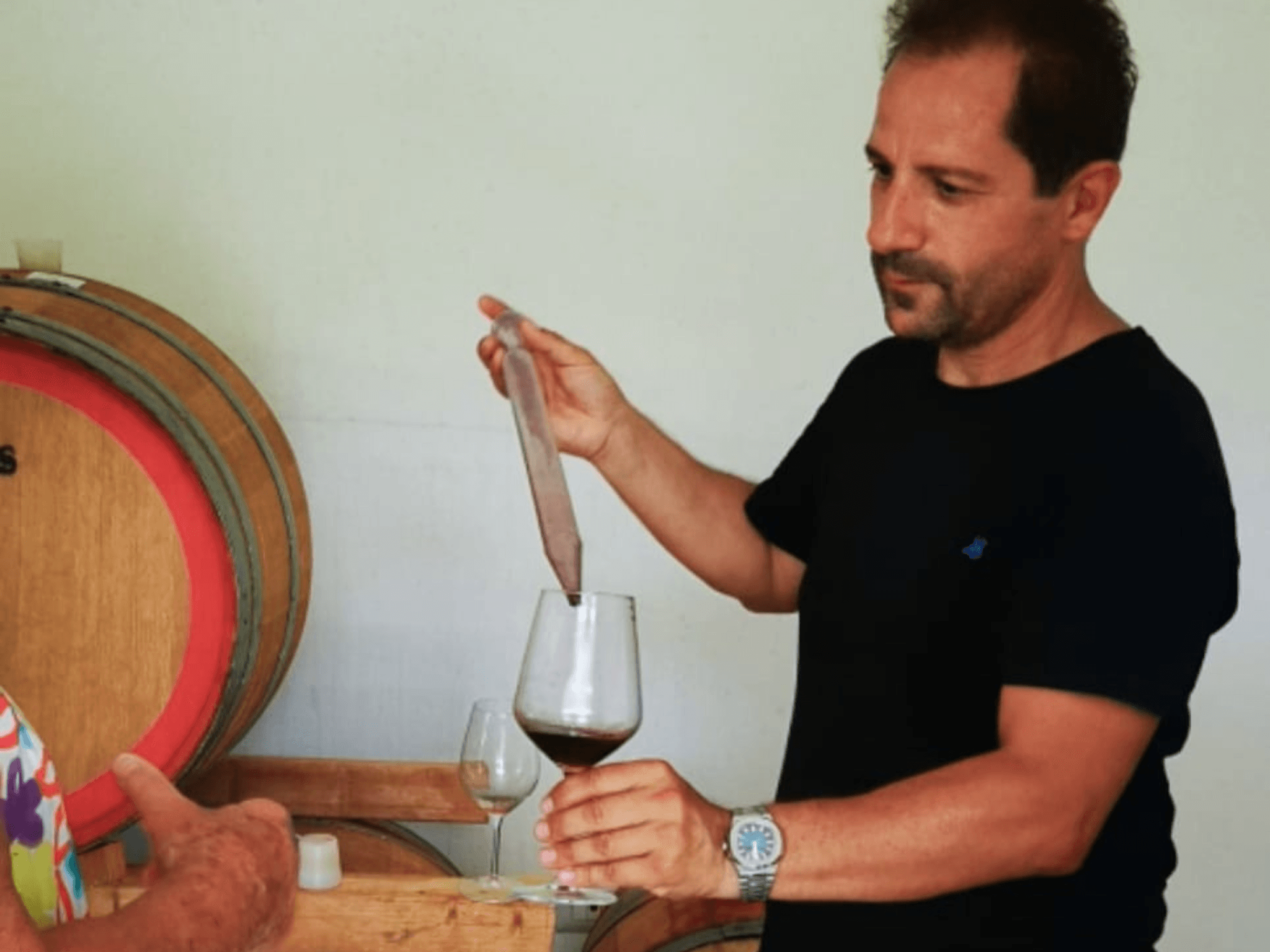 Boutique Winery Tour with Wine & Food Tasting near Cagliari - photo 3