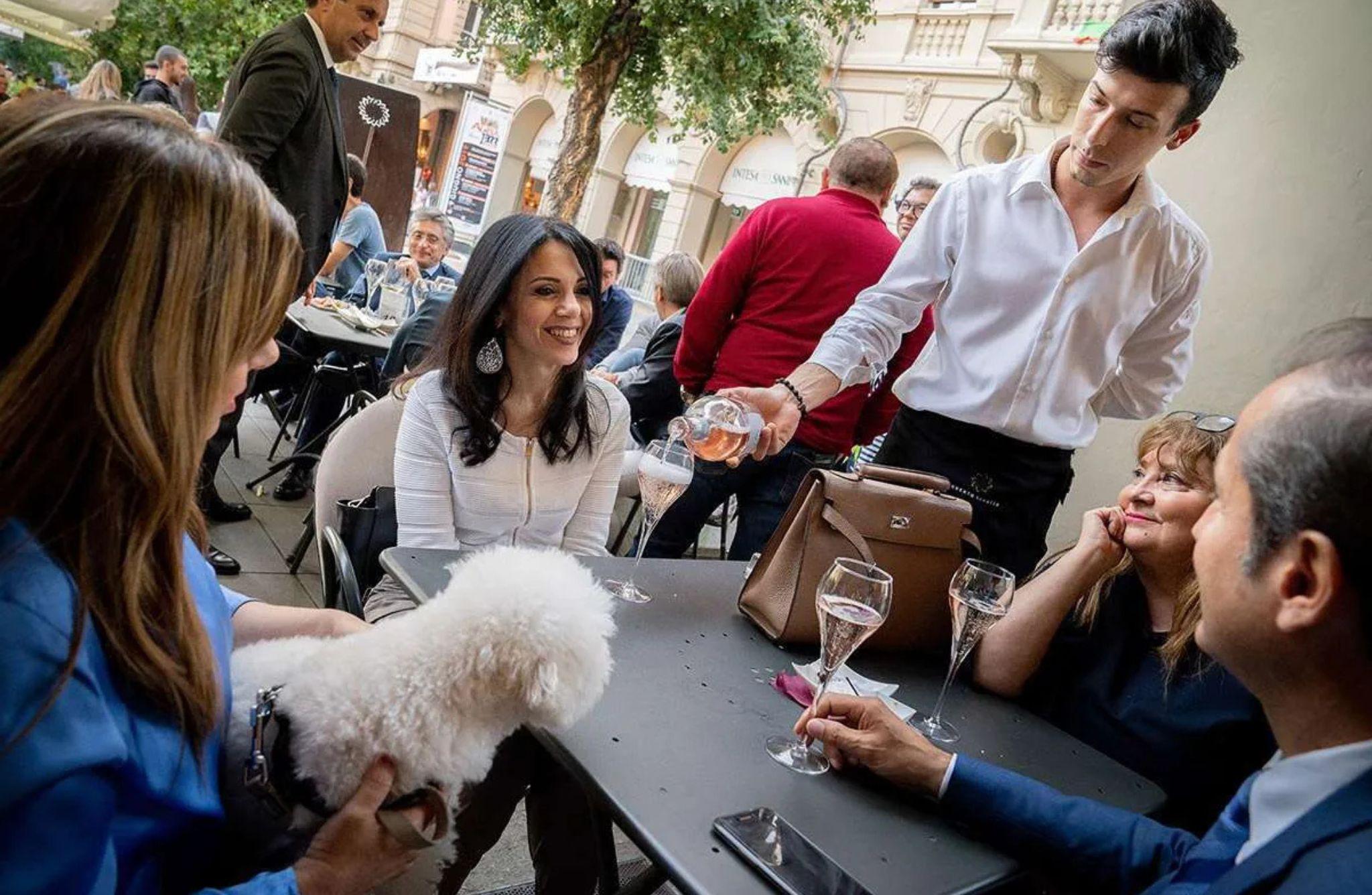 Luxury Wine Tasting with Finger Foods in Alba City Center - photo 4