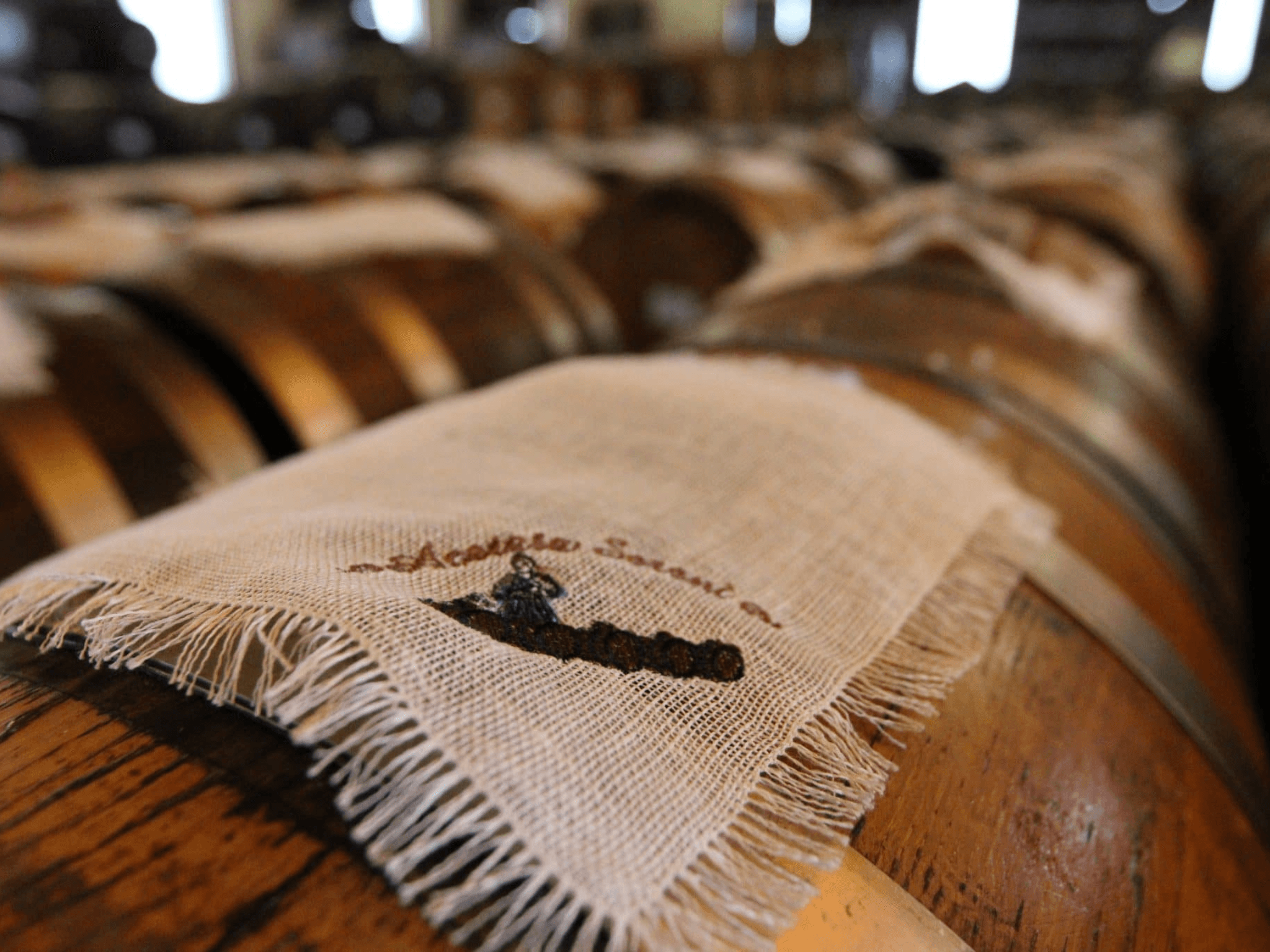 Ancient Balsamic Vinegar Factory Tour & Tasting on Modena Hillside - cover photo