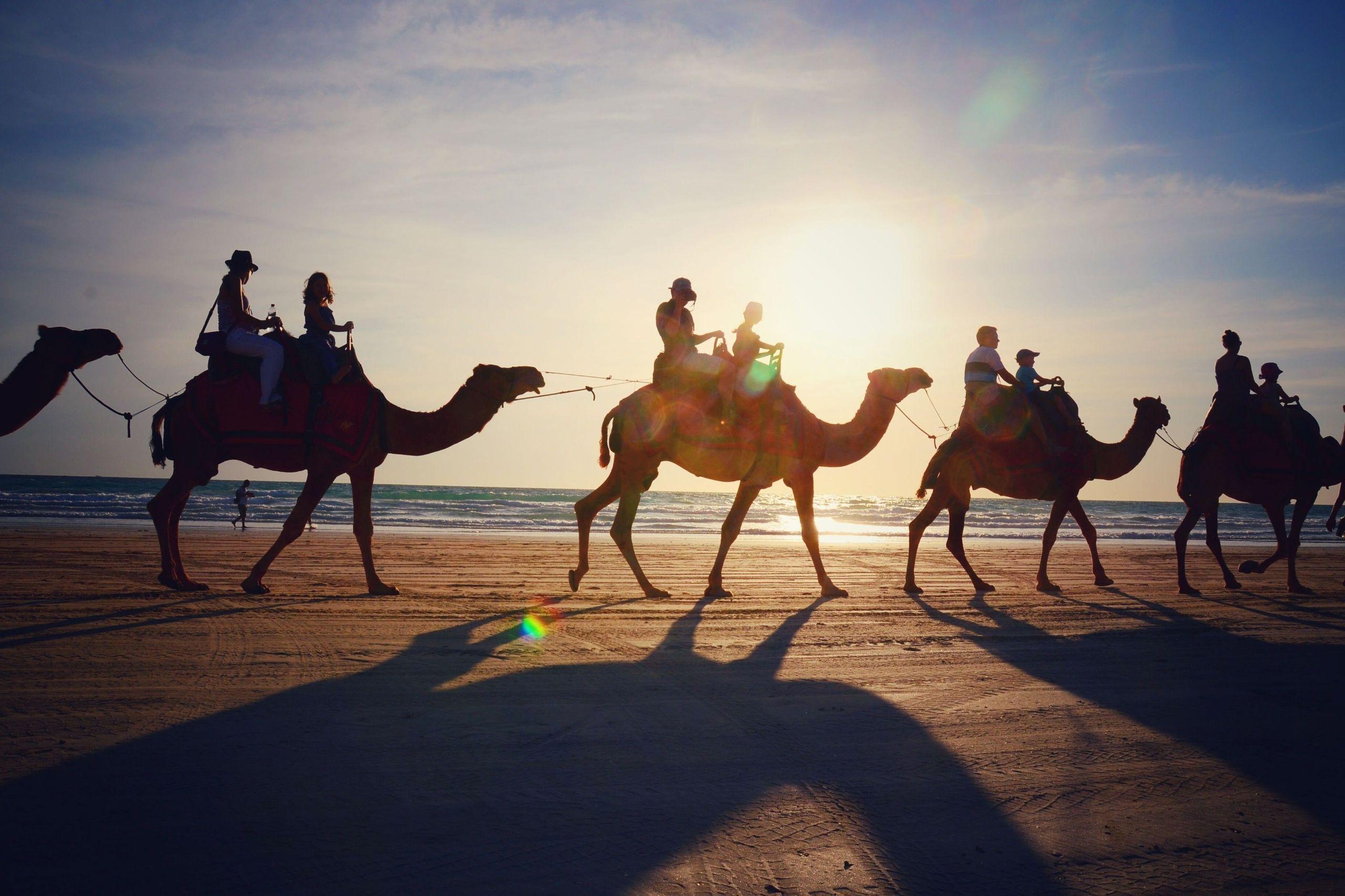 Desert Camel Riding Marsa Alam Tour for 2-Hour with Transfer - photo 4