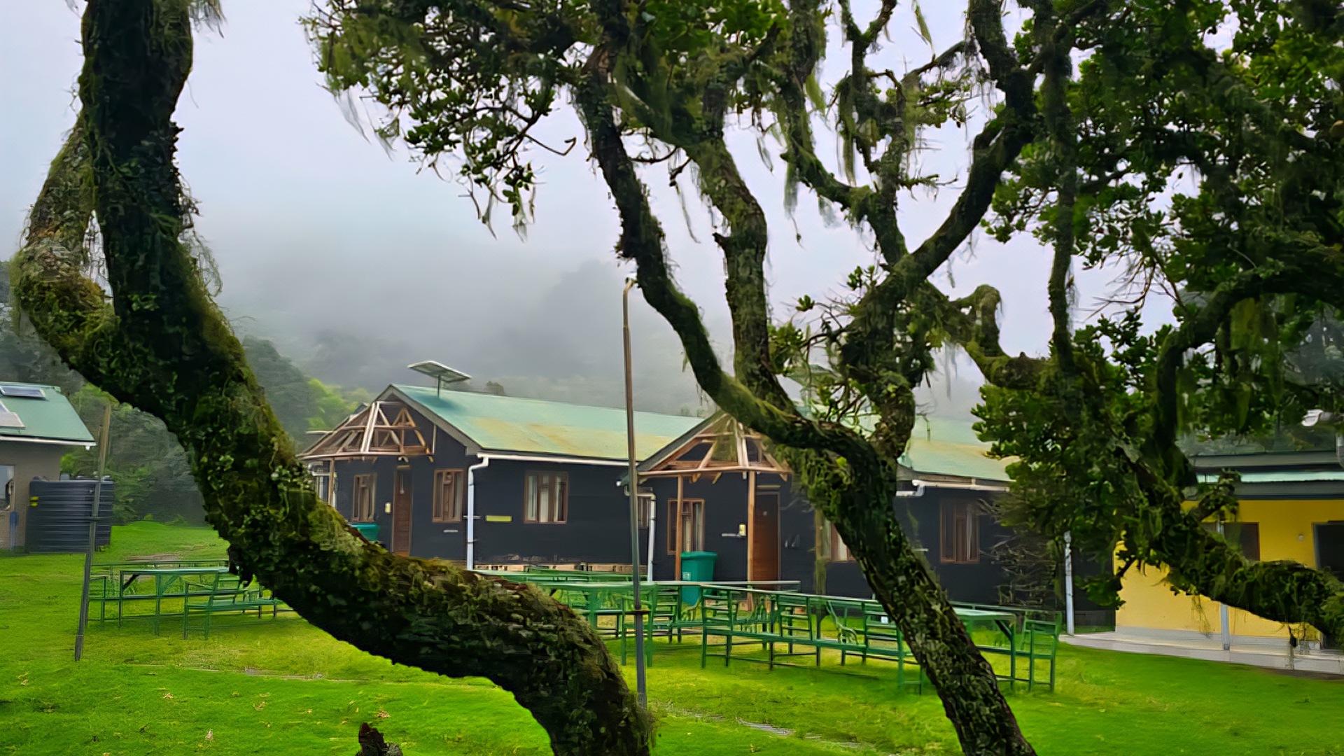 Mount Meru 3-Day Private Luxury Trek | Arusha National Park, Tanzania  - photo 5