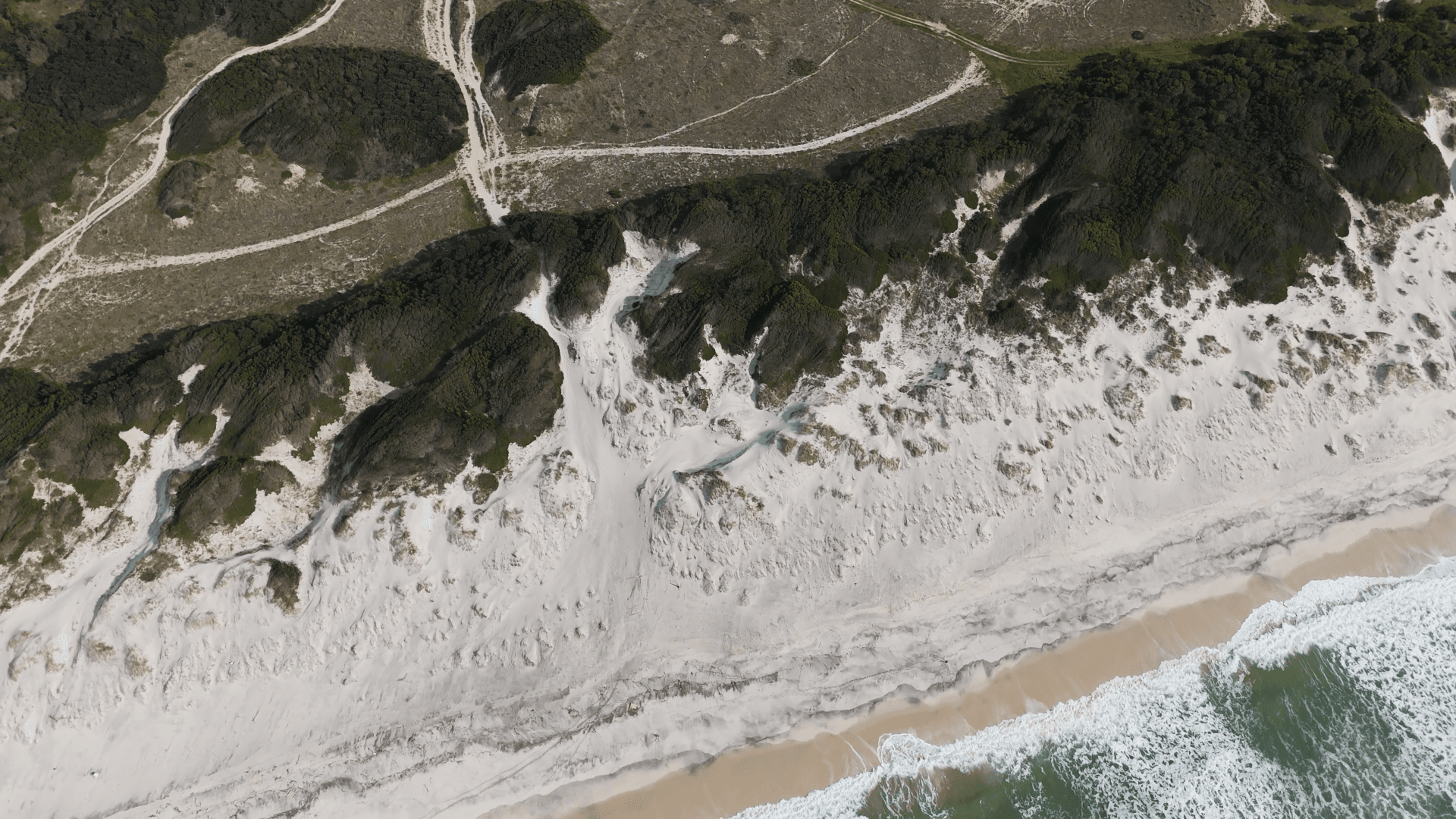 activity image