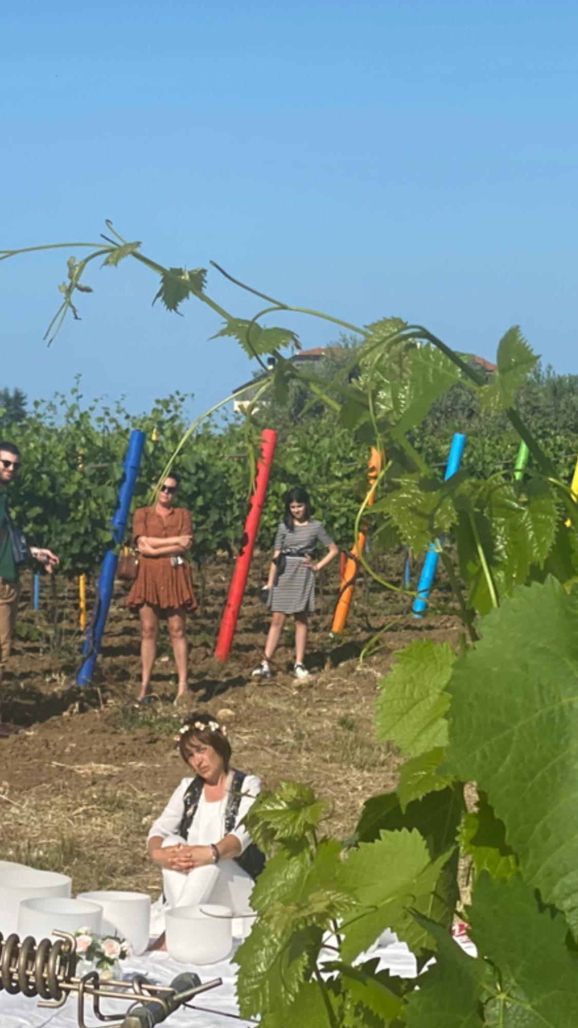 Visit the Vigna Madre winery and taste its wines - photo 3