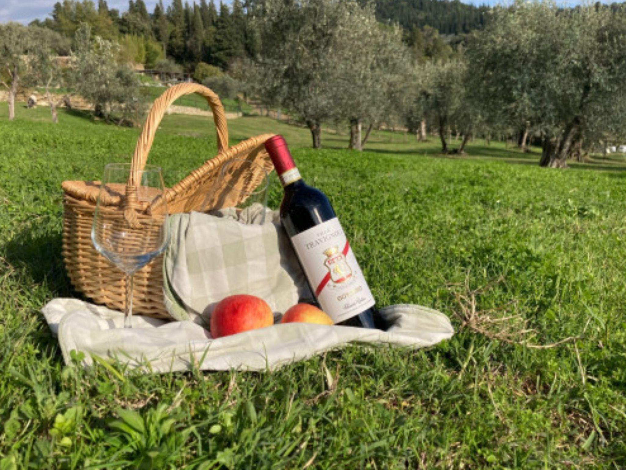 Natural Park and Picnic Experience near Florence - cover photo