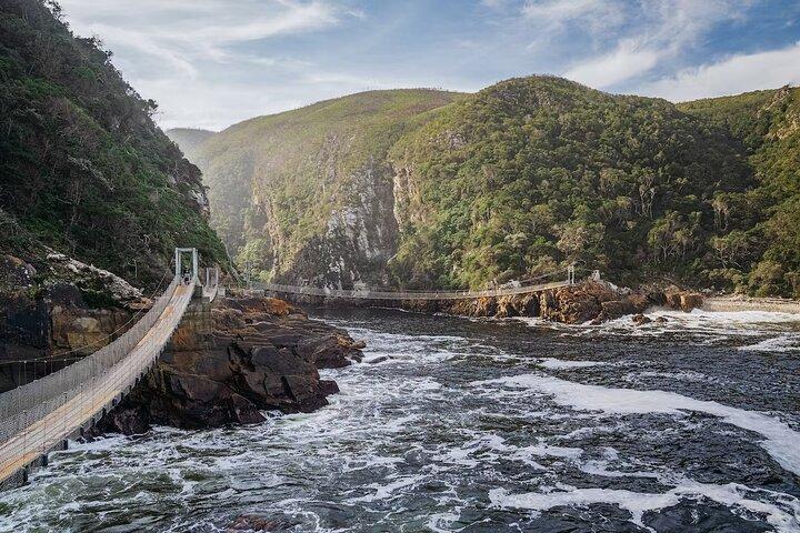 3- Day Garden Route Private Tour from Cape Town  - cover photo