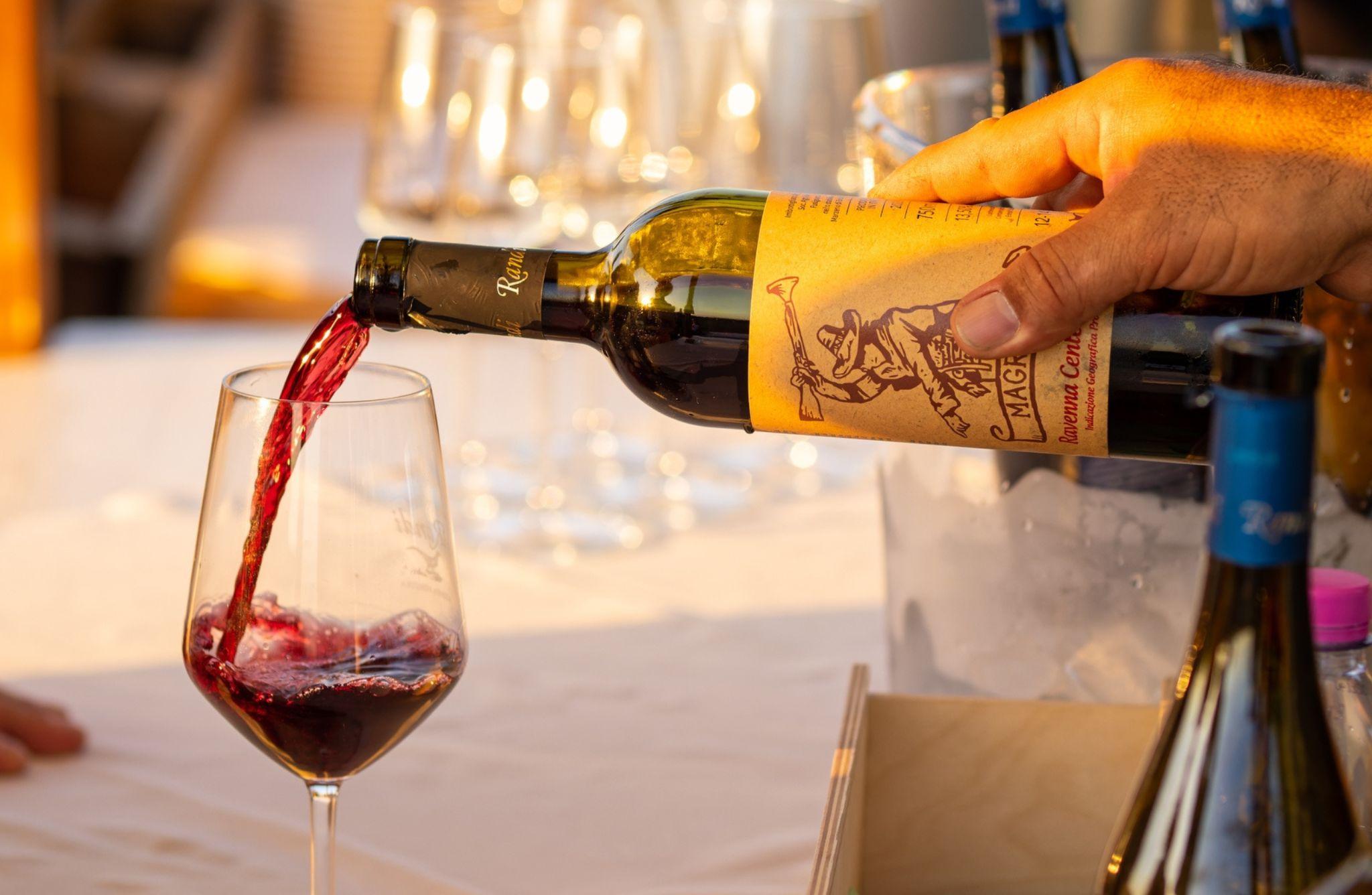 Winery Visit with Wine & Food Tasting near Ravenna - photo 4