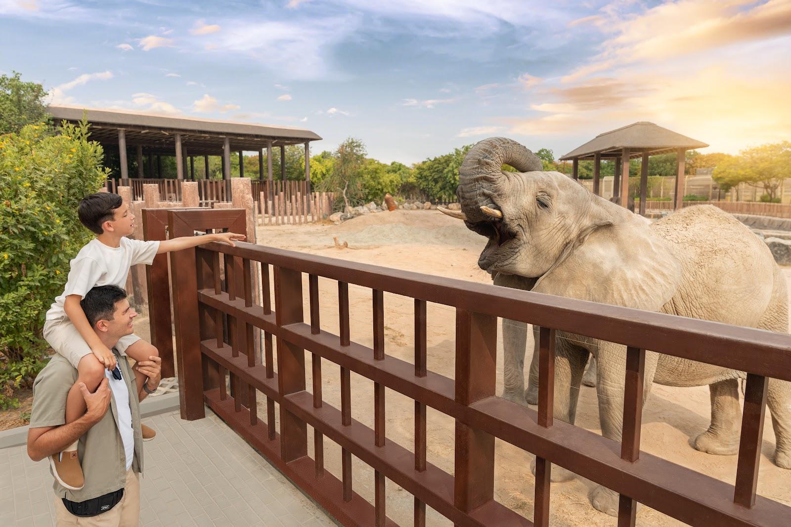 Dubai  Safari Park Tour with Private  Roundtrip  Transfers - photo 4