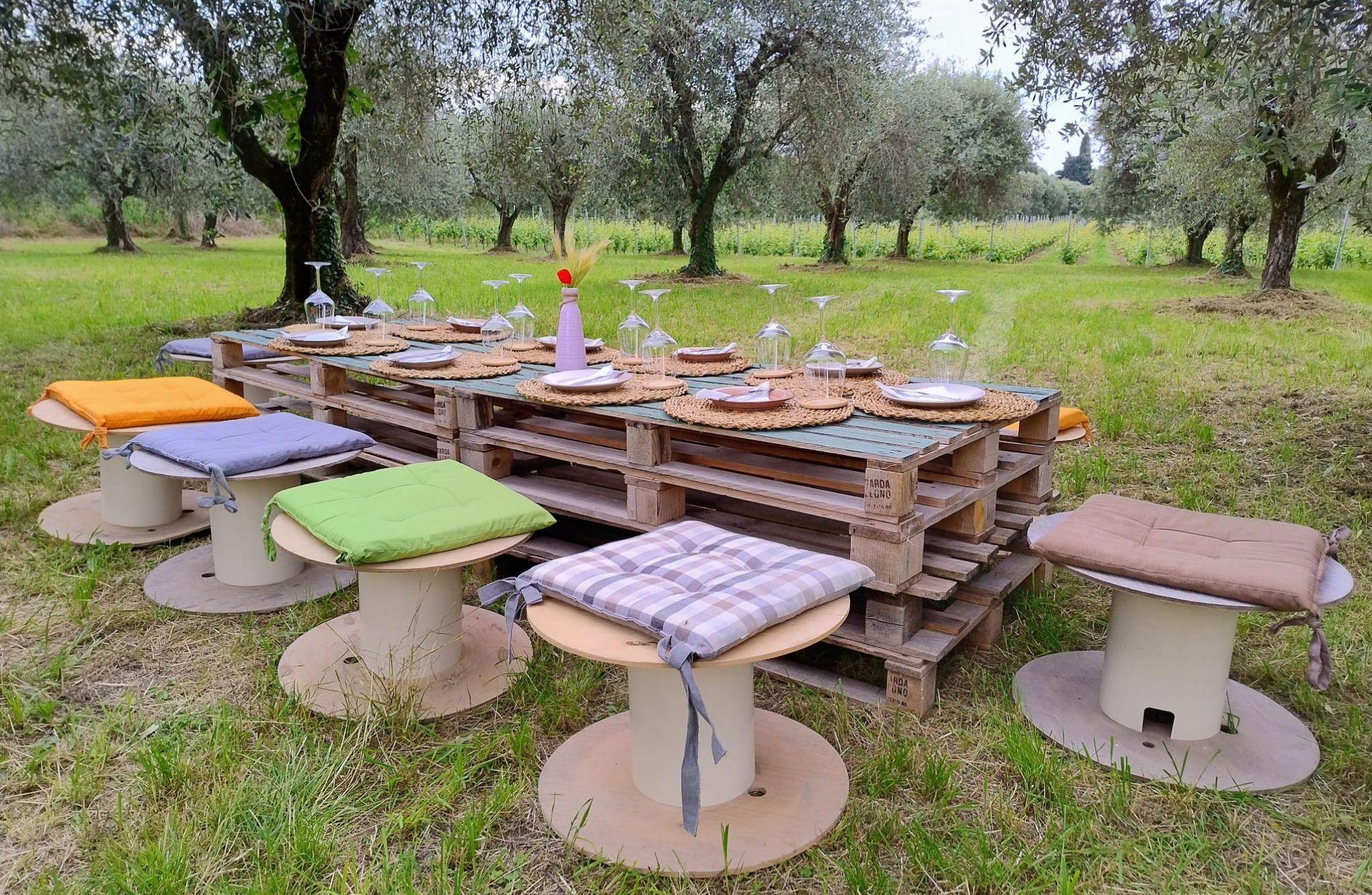 Winery Tour with Wine and Food Tasting near Lake Garda - photo 5
