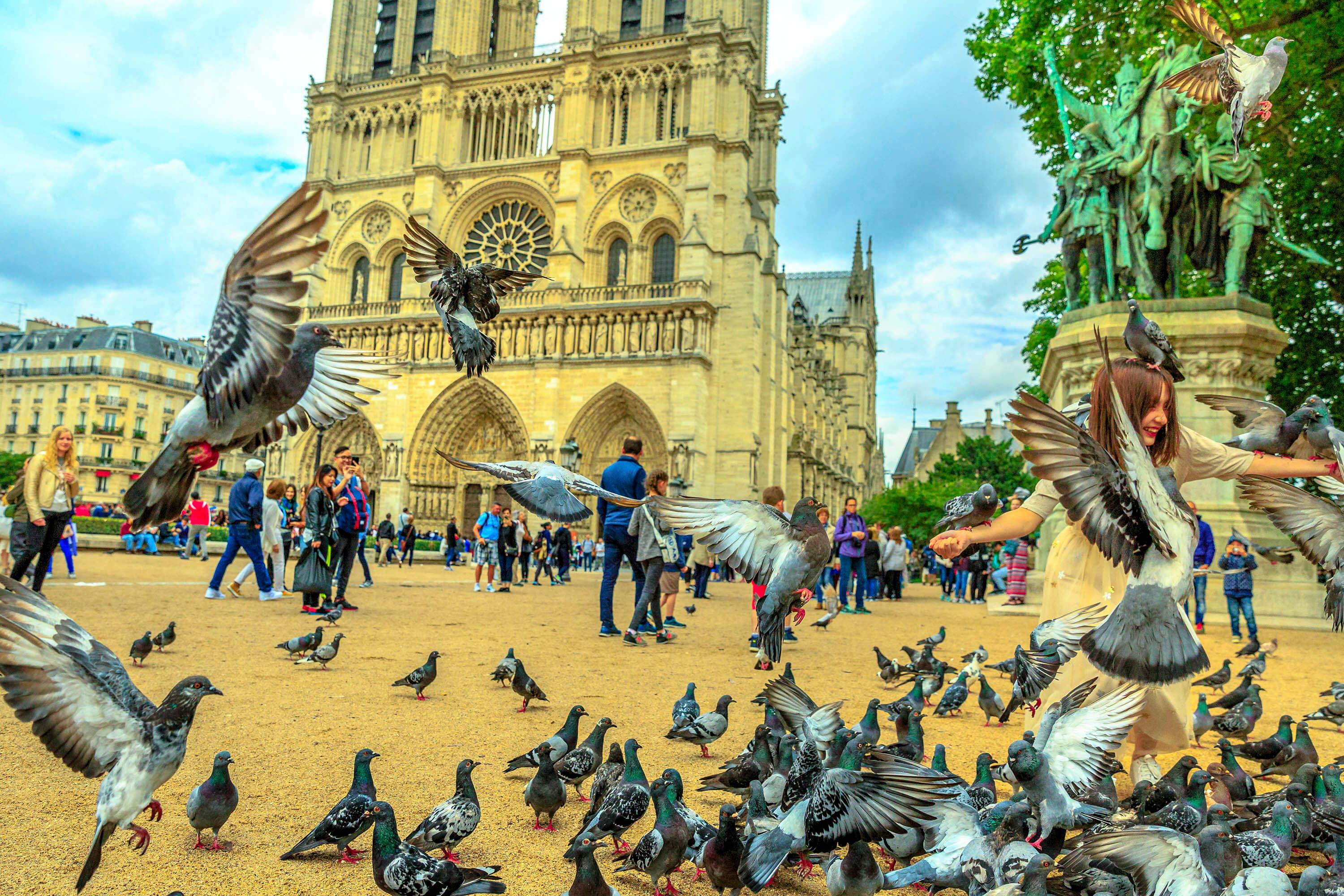 Paris, Notre-Dame Cathedral: Audio Guide App (NOT AN ENTRY TICKET) - photo 4