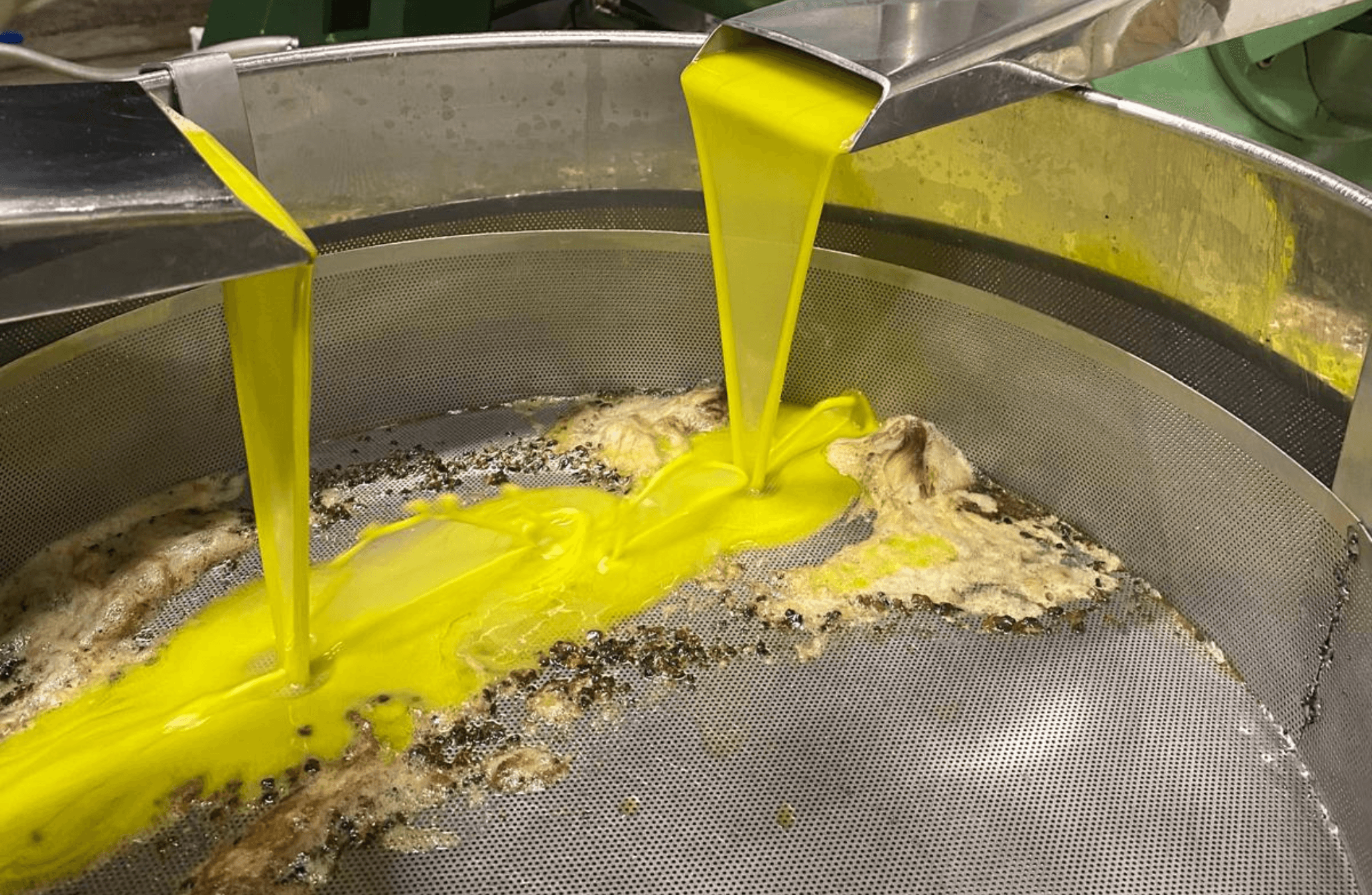 Sustainable Olive Mill Tour with Olive Oil Tasting in Chieti - photo 2