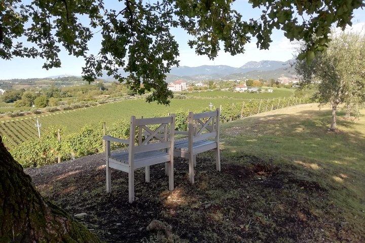 Wine tour & tasting - Prosecco Experience - photo 2
