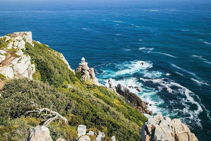 Cape Peninsula Tour  - cover photo